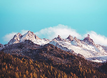 开云体育app-【人物】巅峰期留给洛杉矶 戴维斯有望成为历史超巨